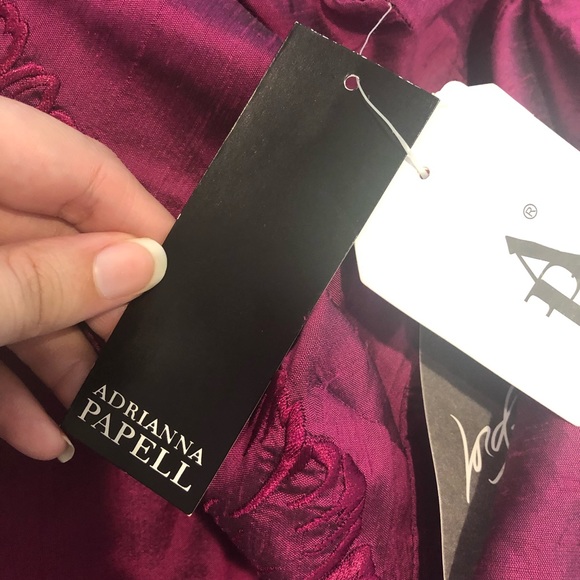 Adrianna Papell Silk Blend Dress 8 NWT - Picture 6 of 6